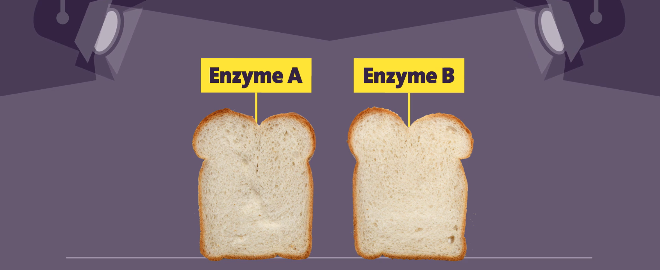 enzyme mapping video illustration
