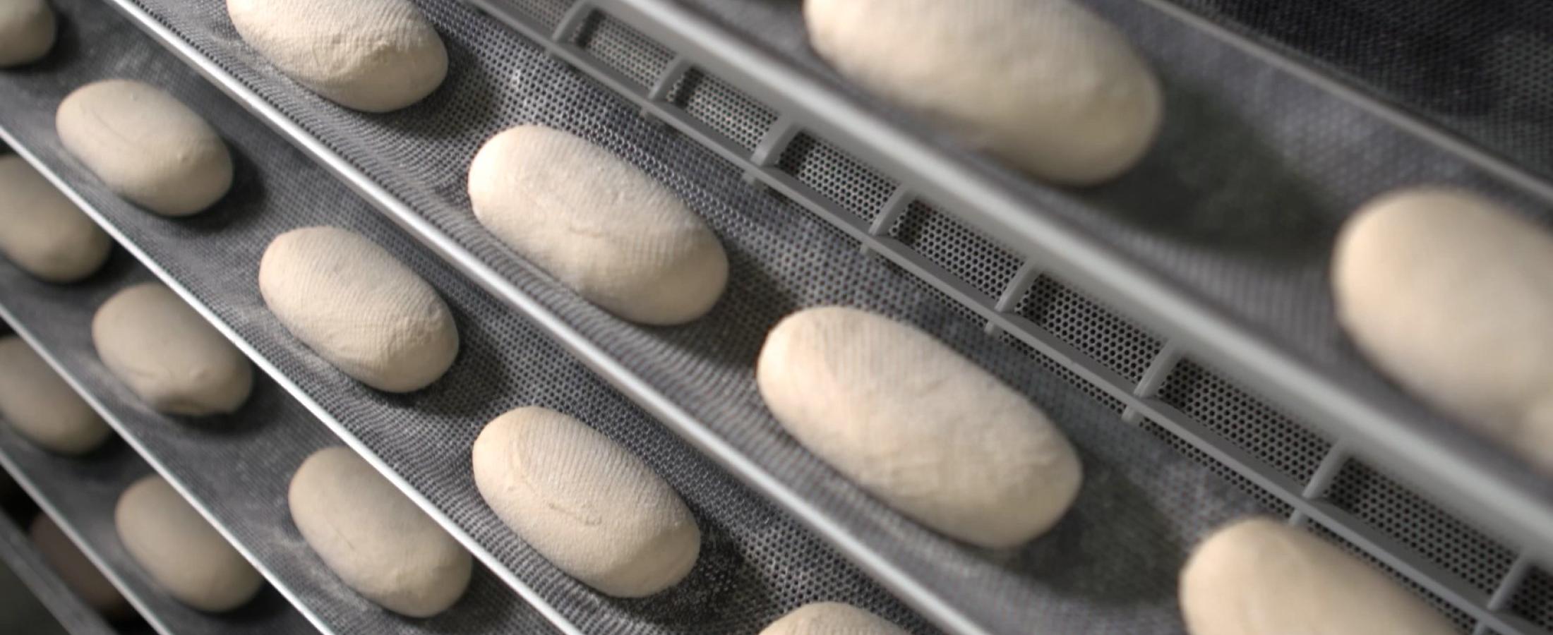 bread roll dough