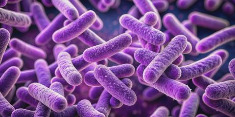 How bacteria can help you develop new products | Zeelandia