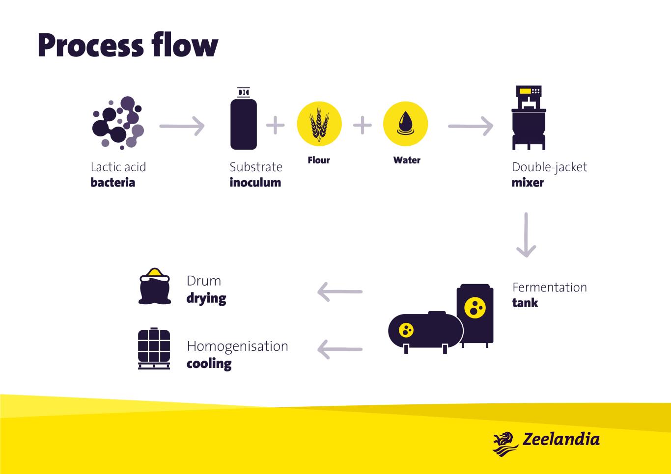 Fermentation infographic